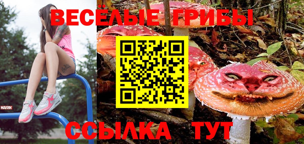 Псилоцибиновые грибы GOLDEN TEACHER Алапаевск