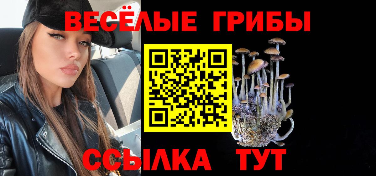 купить закладку  Галлюциногенные грибы Cubensis  Вход с VPN  Псилоцибиновые грибы Psilocybe  Алапаевск 